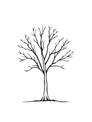 A barren tree with intricate branches and no leaves, depicted in a simple black outline against a white background.
