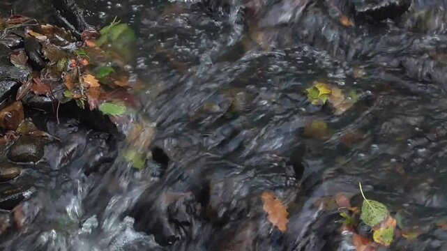 Close-up Of a Small Stream in Autumn in the U.K.