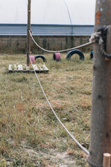  Close-up of a rope obstacle in a kids’ outdoor play area with grass, tires, and wooden elements, in front of a greenhouse structure