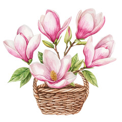 A Magnolia Flower Basket, watercolor painting vector, isolated on a white background.
