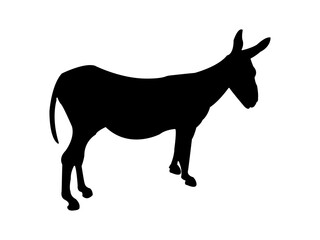  Silhouette of Donkey Animal Isolated on White Background