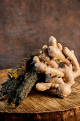 eccentric still life with a branched ginger root and a tree bark segment on a stump, vertical...