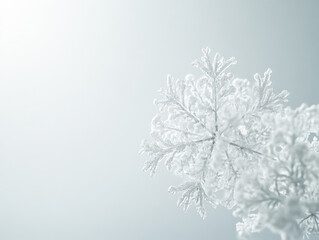 Snowflake is shown in the center of a white background. The snowflake is surrounded by a few other snowflakes, and the entire image has a serene and peaceful feel to it