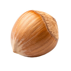 hazelnuts isolated on white background