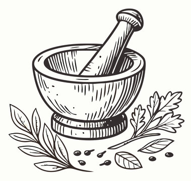 Hand-drawn illustration of mortar and pestle with herbs