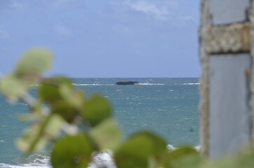 Hay un barco en el mar y se pueden ver los alrededores. Es un día soleado.  Puedes ver la vegetación fuera de foco en la foto. Dorado, Puerto Rico.