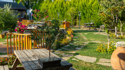 Wooden table in Mediterranean street restaurant with live olive tree on table