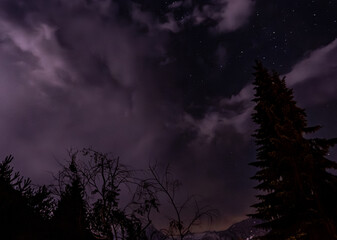 Gewitter mit Sternen durch die Bäume