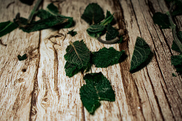 Fresh mint leaves are scattered organically across a textured wooden surface. This image highlights...
