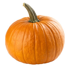 pumpkin isolated on white background