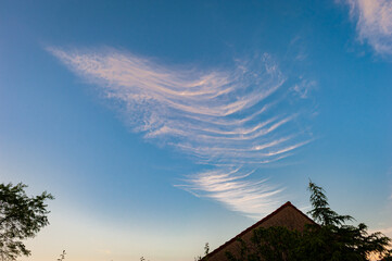 Waving cirrus cloud filaments with blue sky