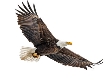 Obraz premium Majestic bald eagle with spread wings soaring against a black background A I G E N E R A T E D - P N G isolated on a transparent background 1