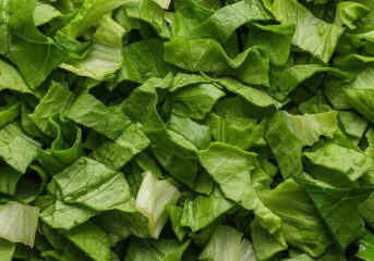 Fototapeta premium Chopped fresh iceberg lettuce leaves creating a natural green vegetable texture