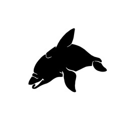 A black silhouette of a dolphin swimming, shown in profile against a white background.
