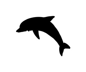 A silhouette of a dolphin leaping upwards against a white background.