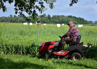 Elderly man mowing green lawn with a red riding lawn mower in casual clothes and camo pants. Summer garden work, concept of rural lifestyle and outdoor yard maintenance.