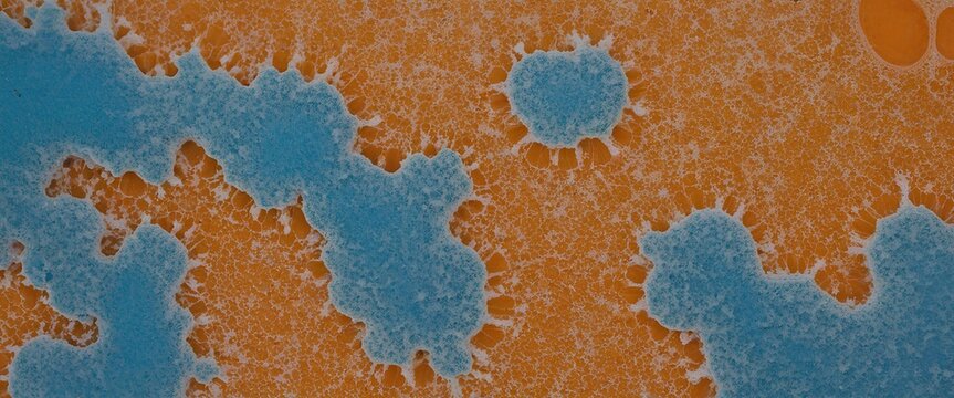 A close-up of the world under a microscope