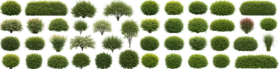 Lush Green Shrubs and Bushes Collection - A diverse collection of shrubs and bushes, ideal for landscaping designs, showcasing various shapes and sizes for garden and park settings.
