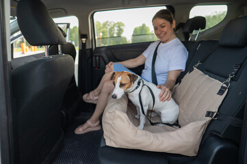 Caucasian woman travels by car with her dog. Jack Russell Terrier in a special car seat. 