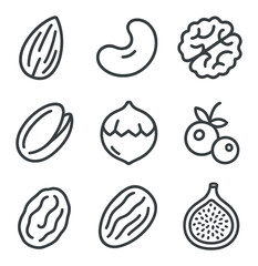 Fruits & Nuts Icons. Outline icon set of fruits & nuts: almond, cashew, walnut, pistachio, hazelnut, cranberry