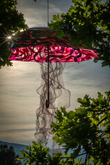 Umbrella suspended on green leaf tree with sunset color