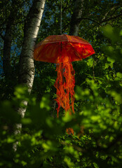 Umbrella suspended on green leaf tree with sunset color