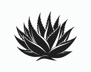 aloe vera silhouette, line art plant, herbal botanical vector, 