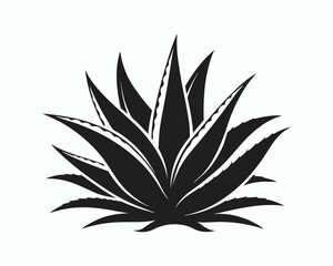 aloe vera silhouette, line art plant, herbal botanical vector, 