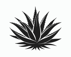 aloe vera silhouette, line art plant, herbal botanical vector, 