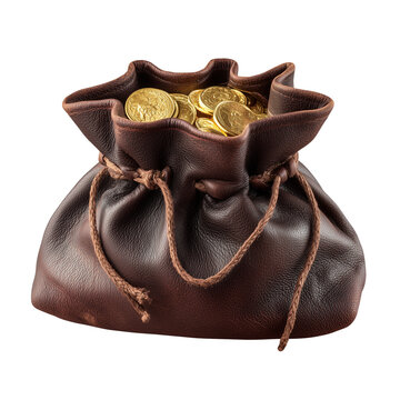 new leather coin bag with gold coins isolated on white