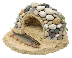 A realistic fish model near a stone cave on a sandy base. The fish has a silver body with a hint of...