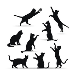 Collection of cat silhouettes in various poses isolated on background