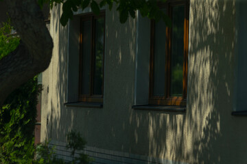 The long shadow of a tall tree is beautifully cast upon the side of a nearby building during the...