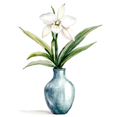 A Ghost Orchid In A Vase, watercolor drawing vector, isolated on a white background.