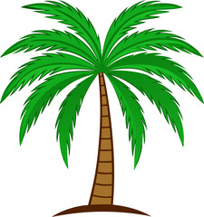 Tropical Palm Tree Illustration