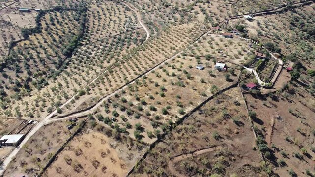 Aerial view of Quinta do Olival, a beautifully designed country house and rural tourism retreat