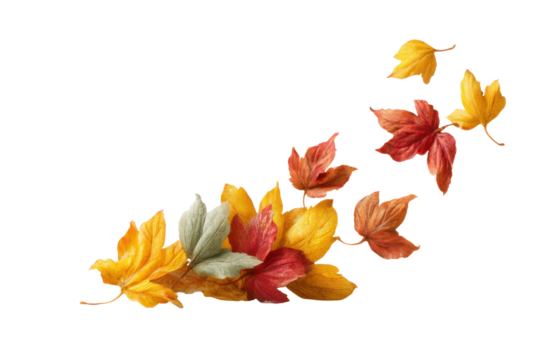 PNG Colorful autumn leaves arrangement on transparent background