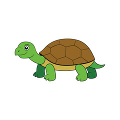 Realistic tortoise colorful vector art illustration