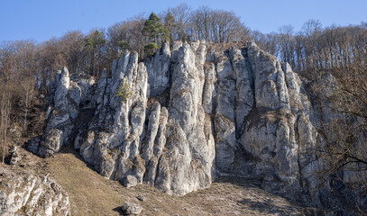 Park Ojcowski wiosną 2025 roku. Okolice Krakowa. Polska