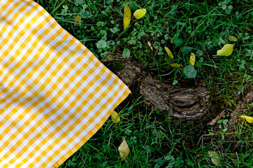 Yellow checkered picnic cloth, toweltop view on green grass background. Checked tablecloth empty advertisement space.Food promotion design template,blank.