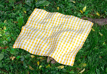 Yellow checkered cloth,checked towel top view on green grass.Food advertisement blank.Picnic towel empty space.Tablecloth outdoors.