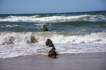 Zdjęcia portu i plaży w Mrzeżynie. Wybrzeże Bałtyku. Polska 2025