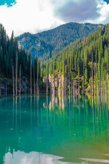 Sunken forest of Lake Kaindy in Kazakhstan. Beautiful mountain natural landscape. A blue lake with tree trunks sticking out of it. Panoramic view of the reserve.