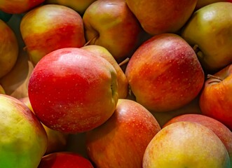 Close-up of ripe red-yellow apples with natural light. Fresh and healthy fruits perfect for illustrating nutrition, harvest, and natural food themes