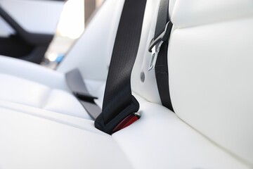 Safety belt and seats inside of modern car, closeup