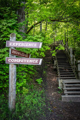 Wooden Signposts Showing Direction to Experience, Knowledge, and Competence on Forest Pathway