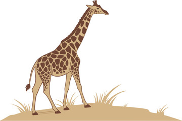 Fototapeta premium Giraffe Standing on White Background Illustration