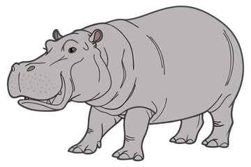 Obraz premium Hippopotamus Illustration on White Background