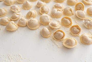 Raw homemade dumplings dusted with flour.