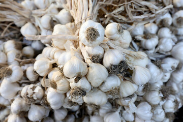 Fresh raw garlic on a market.